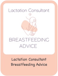 Lactation Consultant Breastfeeding Advice